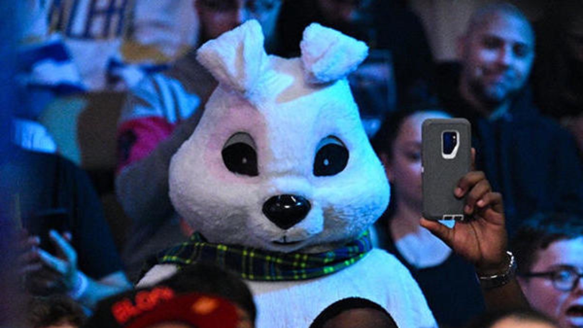 Here's When WWE Will Reveal Who The 